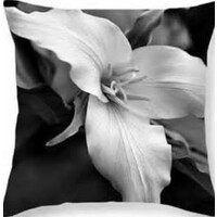 Trillium Landscape