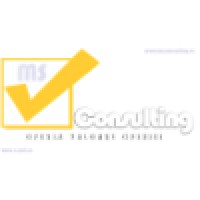 MSConsulting logo - Similar company to Msconsulting