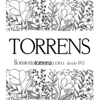 FLORISTERIA TORRENS logo - Similar company to Floristeria Tella