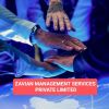 Zavian Management Services Private Limited logo - Similar company to Zavian Consultancy