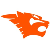 Cougartron logo - Similar company to Scaletronic