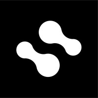 Synapsi logo - Similar company to Synapsi.Xyz
