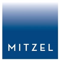 The Mitzel Group, LLP logo - Similar company to Your All Day Everyday Janitorial Services