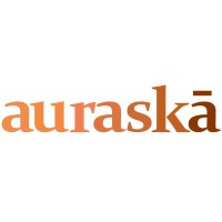 Auraska Infotech Ltd logo - Similar company to Data Infinity Limited