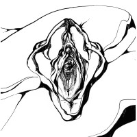 MAMBA NEGRA logo - Similar company to Digicomex