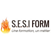 SESI FORM logo - Similar company to Gips Security