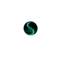 Coach Sangeeta logo - Similar company to Dceb Edu World