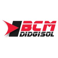 BCM Didgisol - Ricoh Platinum Business Partner logo - Similar company to Lasertec Cc