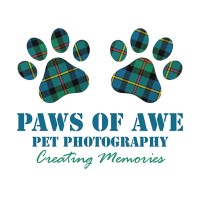 Paws of Awe Pet Photography logo - Similar company to Filmneverdie