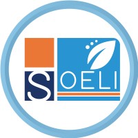 SOELI Consulting logo - Similar company to Gux Startup Studio