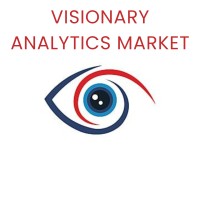 Visionary Analytics Market logo - Similar company to Facilitypro - Facilities Management Services