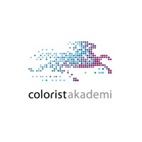 Colorist Akademi Matbaa logo - Similar company to Paksis Packaging
