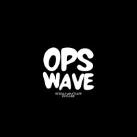 Ops.Wave logo - Similar company to Raven[Ops]