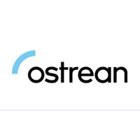 Ostrean IT Technologies logo - Similar company to Shrift Design Studio