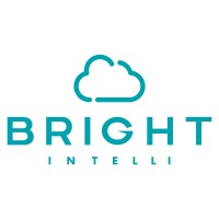 Bright Intelli LLC logo - Similar company to Eleinfoty