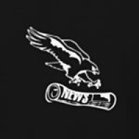 The Falcon logo - Similar company to First Robotics Team 589: Falkon Robotics