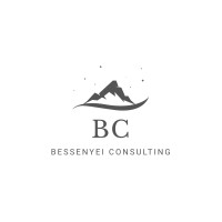 Bessenyei Consulting logo - Similar company to Tripeak Technology