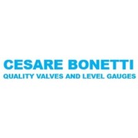 Cesare Bonetti International Pvt. ltd logo - Similar company to Abhirul Technology