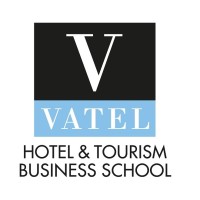 Vatel Congo Brazzaville logo - Similar company to Hsts Congo