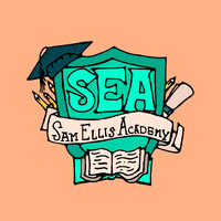 Sam Ellis Academy logo - Similar company to Topaz