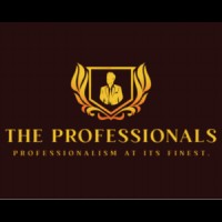 THE PROFESSIONALS logo - Similar company to Iop Technologies Llc