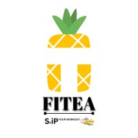 FITEA logo - Similar company to Salt Grass