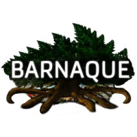 Barnaque logo - Similar company to Orio Cloud
