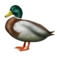 WELLONS PROPERTIES, LLC logo - Similar company to Wellons Land