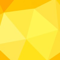 Sunshine Coast logo - Similar company to Digital Roo’S