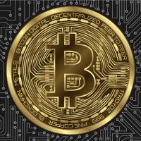 Crypto_Signals_ logo - Similar company to Crypto Parrot
