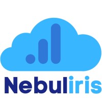 Nebuliris logo - Similar company to Knowledge2Life