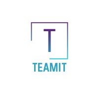 TeamIT logo - Similar company to Teamit