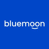 Bluemoon Consulting logo - Similar company to Techlogics