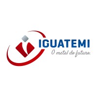 Iguatemi Metais logo - Similar company to Telca Imp E Exp Ltda