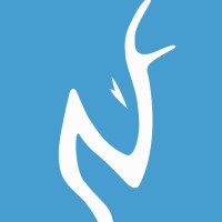 NorthLing Coaching & Copywriting logo - Similar company to Labrotek Oy ( Ltd )