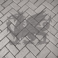 Dragon Stone Paving Limited logo - Similar company to Mac Paving Ltd