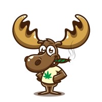 CannabisBacklinks - SEO Agency