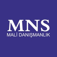 MNS Mali Danışmanlık Ltd. Şti. logo - Similar company to Selig İnsan Kaynakları Danışmanlık