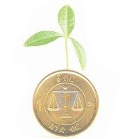 Ethiopia Financial Literacy Week logo - Similar company to Gts Ethiopia