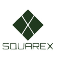 SquareX Group logo - Similar company to Squarex