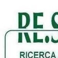 RE.S. STUDIUM sas - Ricerca e Selezione del Personale logo - Similar company to Cespim Srl - Ricerca & Selezione Personale