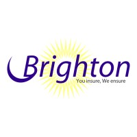 Brighton Management Limited logo - Similar company to Labuan Insurance Management Services Limited