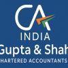 Gupta & Shah logo - Similar company to P L Tandon & Co.
