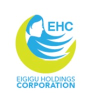 Eigigu Holdings Corporation logo - Similar company to Nauru´S Tech