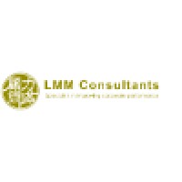 Lmm Consultants