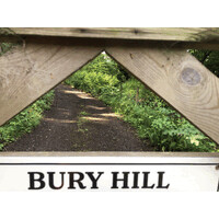 Bury Hill Ltd: Business writing for leaders in business and technology logo - Similar company to Innovate Yorkshire