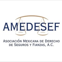 AMEDESEF (Asociación Mexicana de Derecho de Seguros y Fianzas) logo - Similar company to Soluciones Impex Sa De Cv