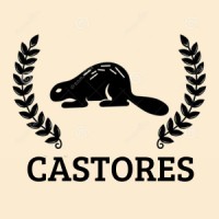 Castores -  WSP logo - Similar company to Ac Work Consultoria Em Recrutamento E Seleção De Talentos