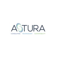 Astura Global logo - Similar company to Devindie Consultant And Solutions Llp