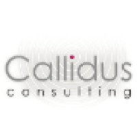 Callidus Consulting Ltd logo - Similar company to Agentplus (Inactive Account – See Kolmeo)